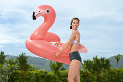 Bestway Rider Flamenco 168x120cm